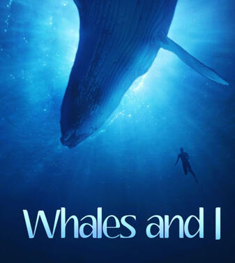 [EN] Documentary